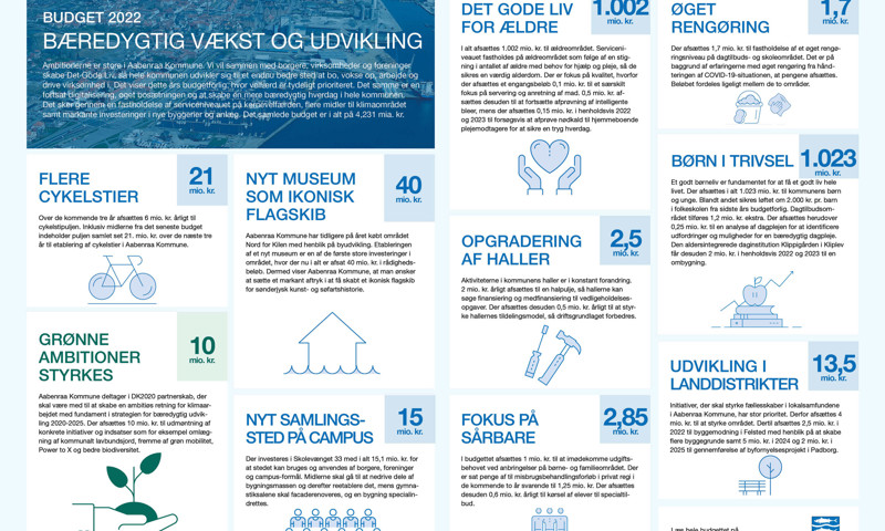 Enkelte budgetpunkter beskrevet