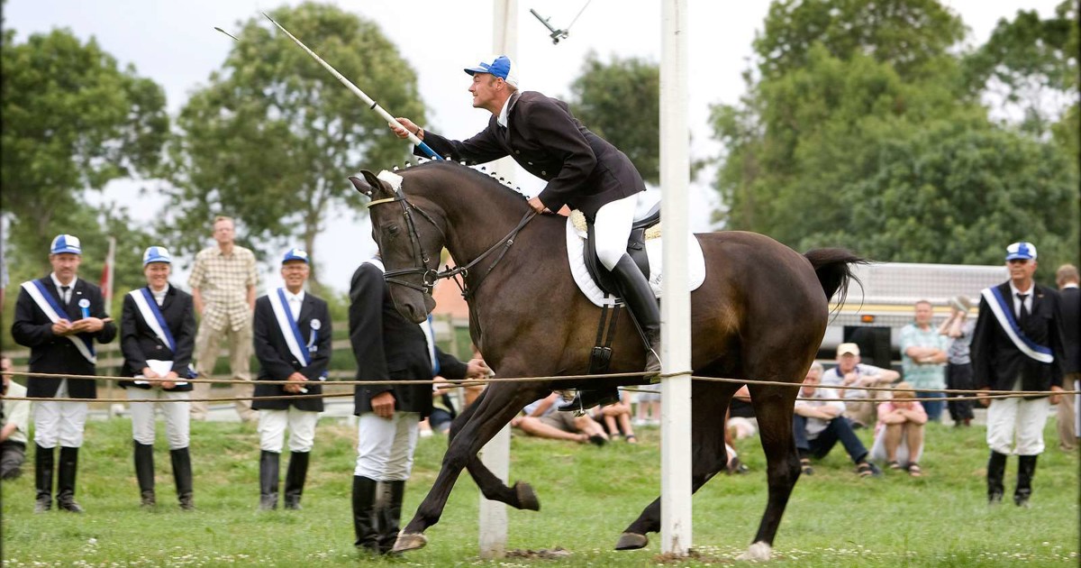 Ringriderpladsen