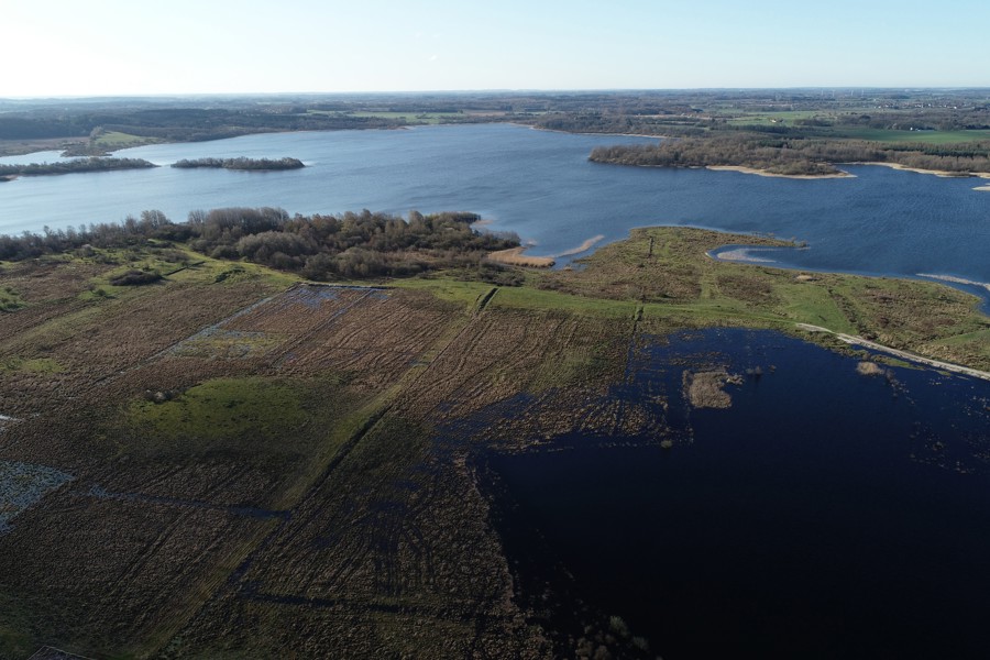 Sørestaurering i Hostrup Sø